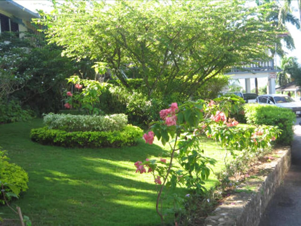 Paradise Brandon Hill Guest House Бухта Монтего Экстерьер фото