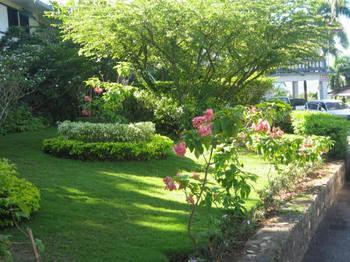 Paradise Brandon Hill Guest House Бухта Монтего Экстерьер фото